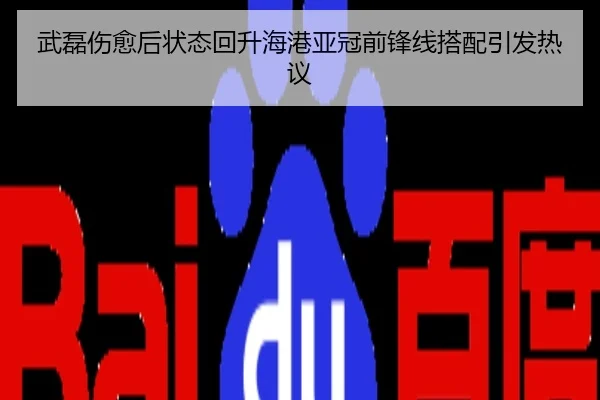 武磊伤愈后状态回升海港亚冠前锋线搭配引发热议
